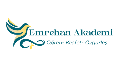 system logo
